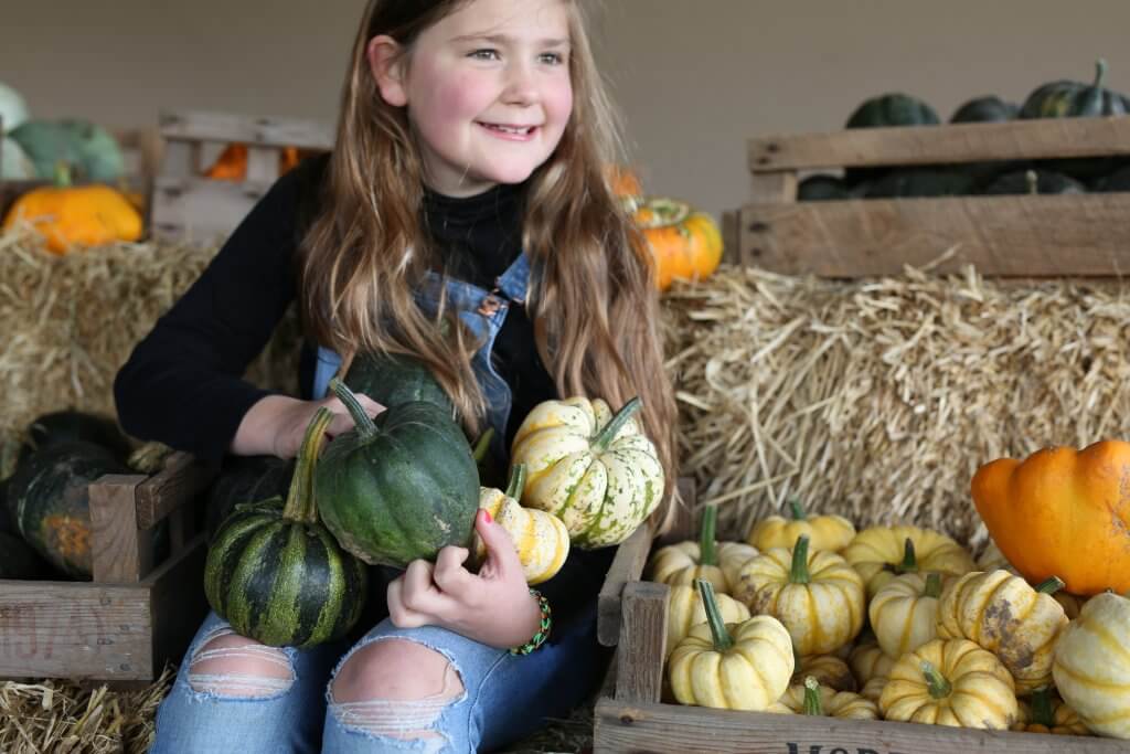 Smiling child holding various Pumpkins from our East Lothian Pumpkin Patch